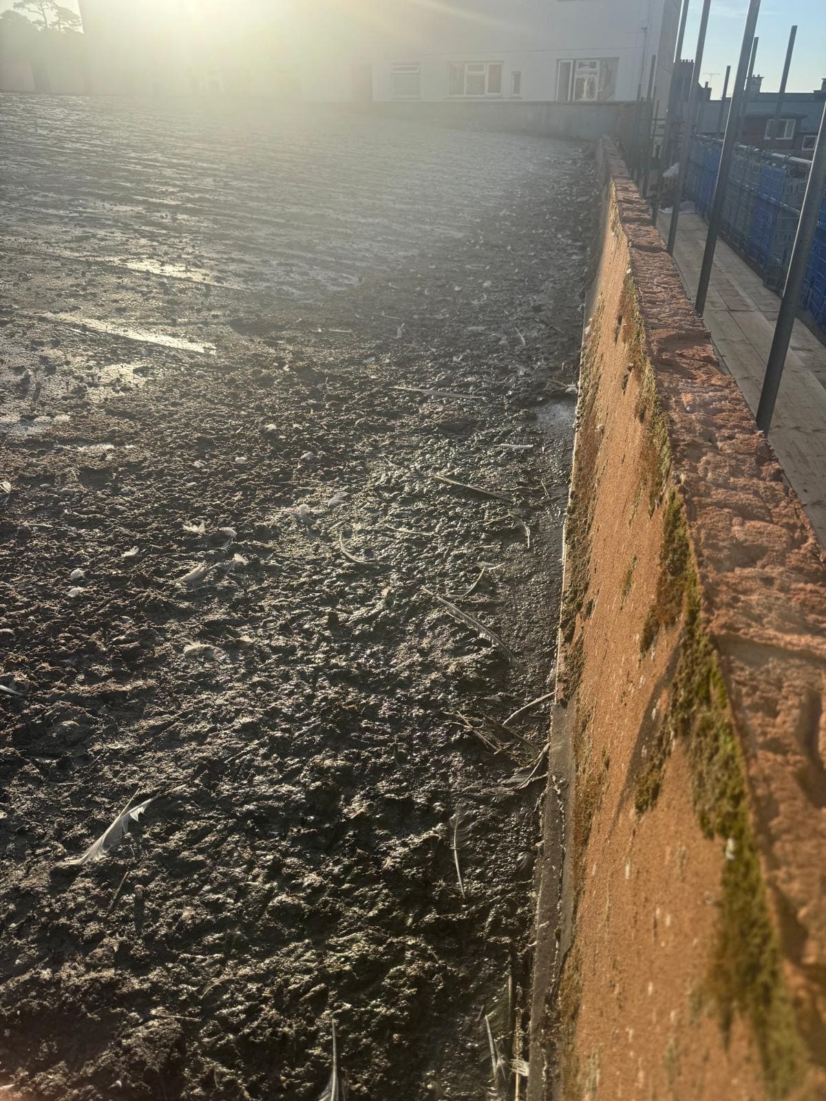 Close-up of bird fouling on roof requiring professional removal and sanitisation