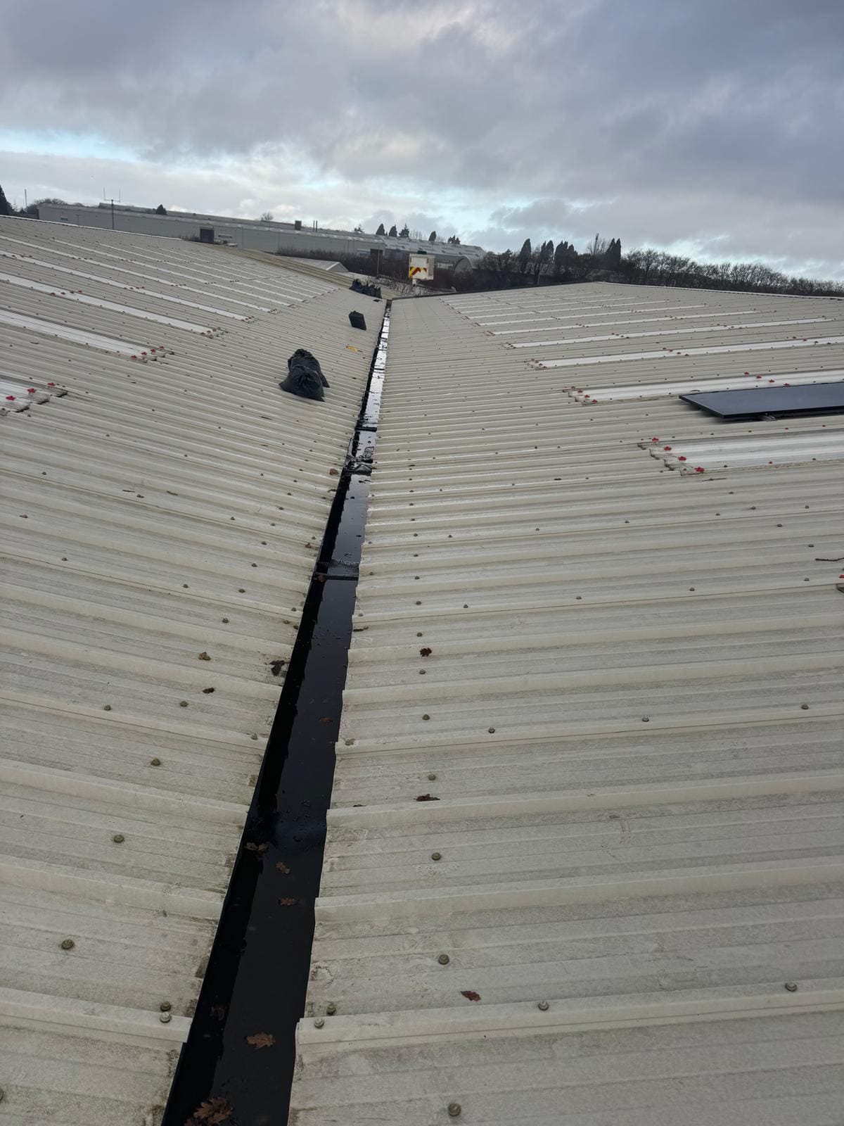 Commercial building gutter blocked with debris