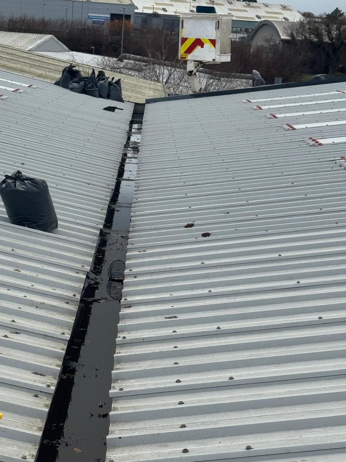 Wide view of commercial gutters after professional cleaning