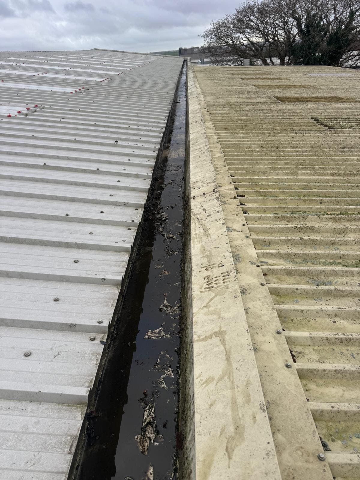 Commercial gutter with heavy debris accumulation