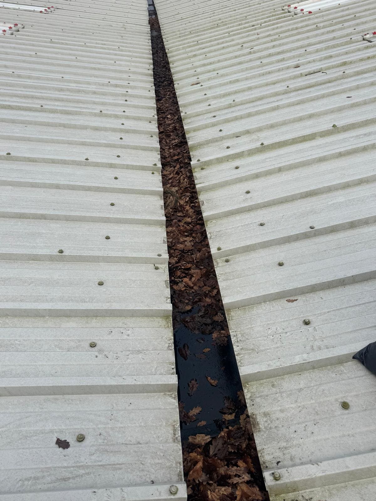 Leaves blocking commercial guttering system