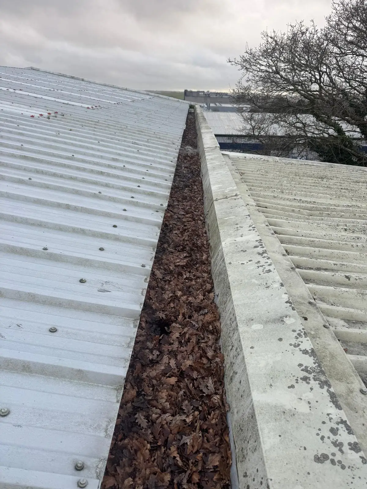 Commercial gutter completely full of autumn leaves