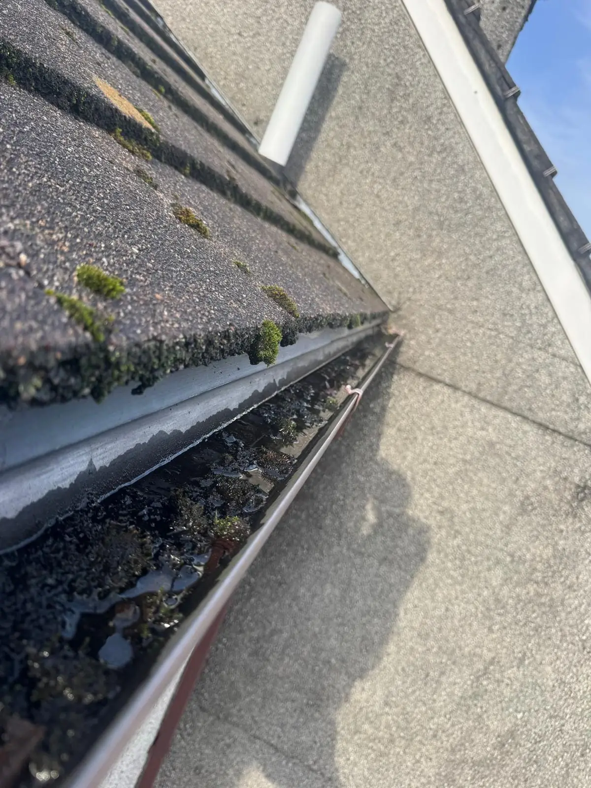 Blocked gutter overflowing with leaves and debris requiring professional clearing
