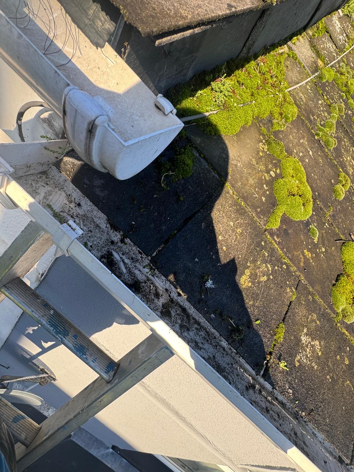 Close-up of gutter showing clean interior after professional service