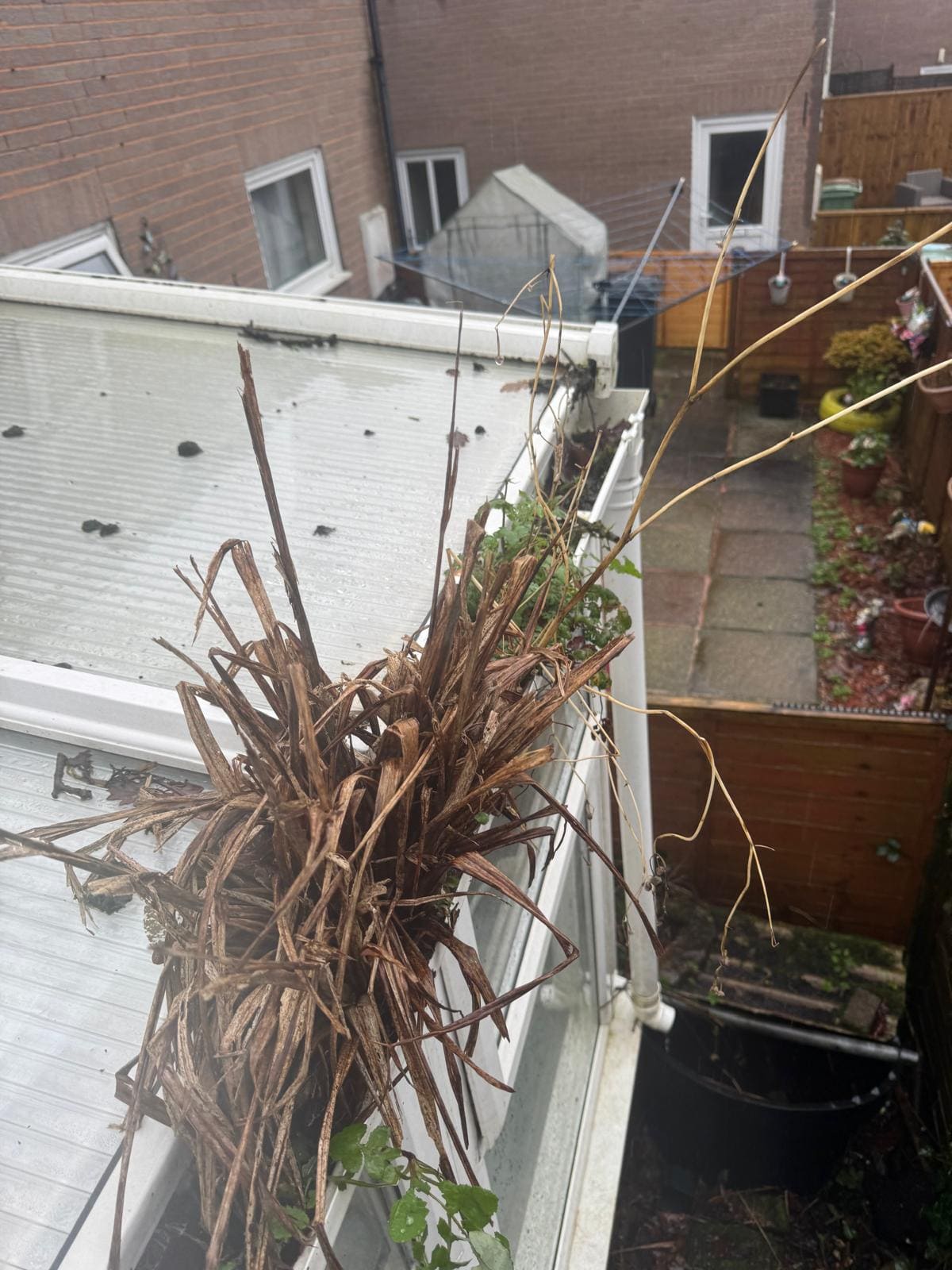 The Complete Guide to Gutter Maintenance in the UK — Gutter Cleaning article