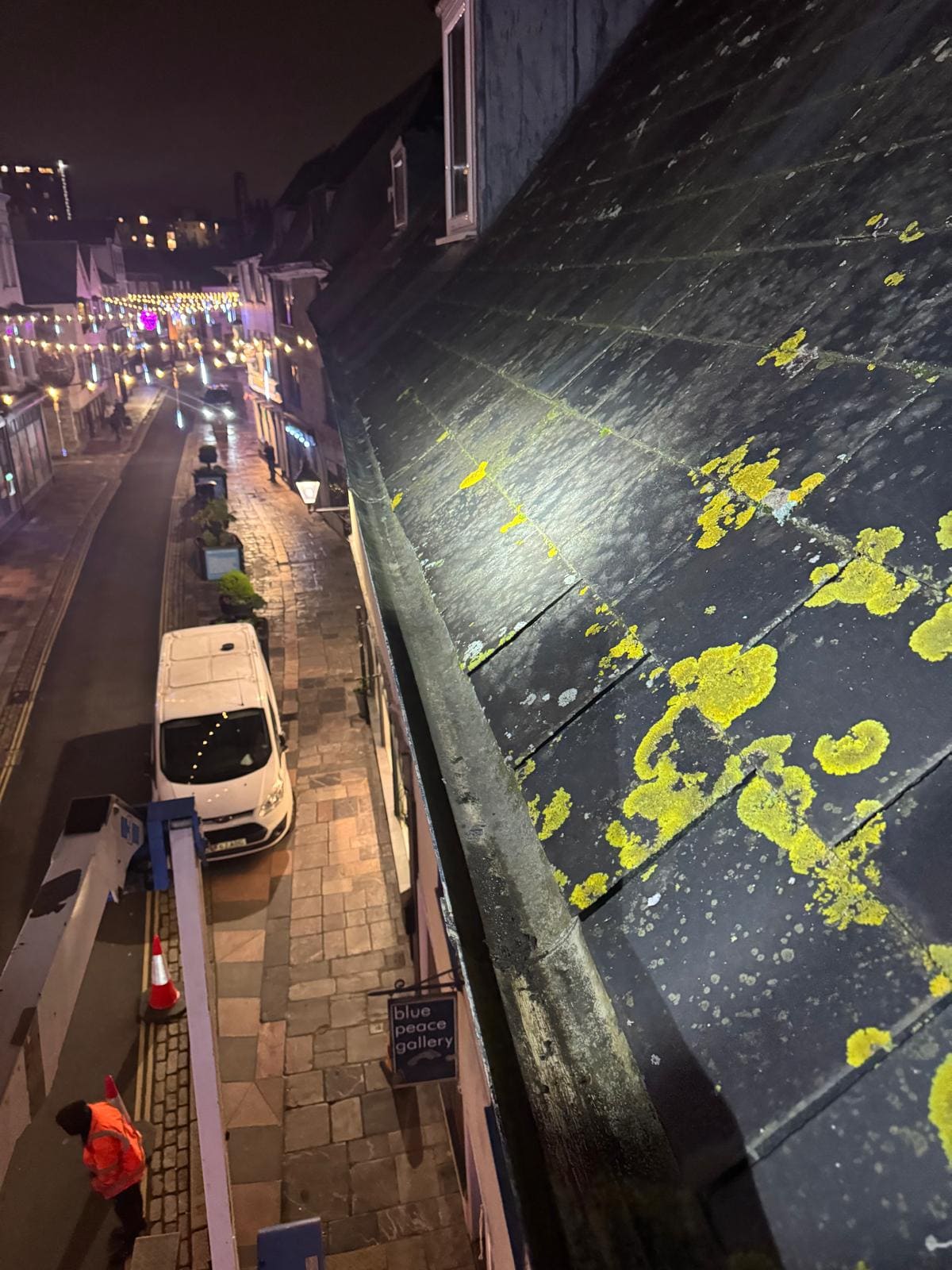 Roof lichen visible during evening inspection