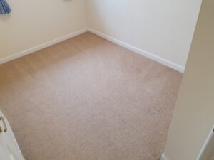 Plymouth carpet cleaning service