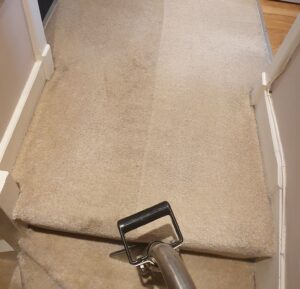 end of tenancy carpet cleaning 