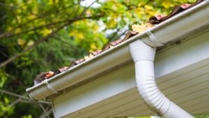 protecting your Plymouth home this winter